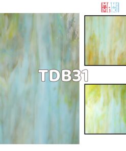 TDB31