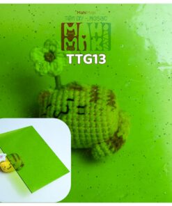 TTG13