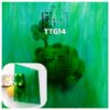 TTG14