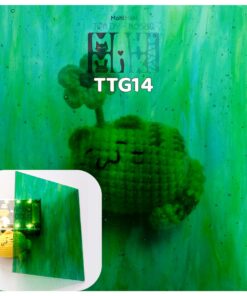 TTG14