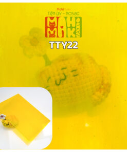 TTY22